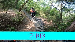 MTB Roveta 08.06.2024 sentiero ZIBIB