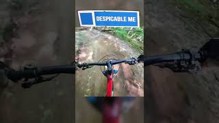 Despicable Me - Horseshoe Valley Mountain Bike...