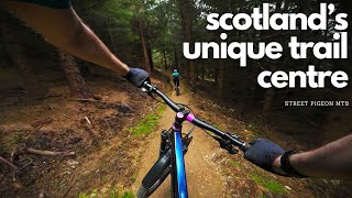 Scotland's Million Pound Trail Centre 1 Year...