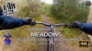 MTB Riding Meadows, Aliso Wood Canyons, June...