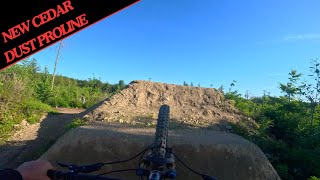 NEW Cedar Dust Proline POV - Galbraith MTB