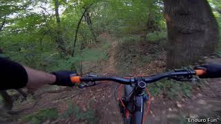 Let's Ride MTB - Heidelberg // Weißer Stein...