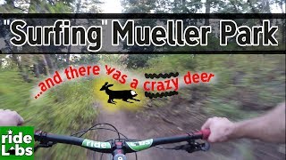 Mueller Park | Surfing the trail / Almost hit...