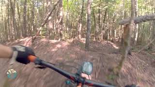 The Chute