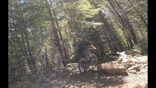 Two Turntables and a Microwave Trail - Sandy...