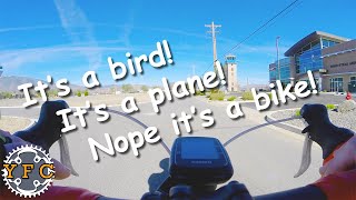 Stead Airport Road Ride