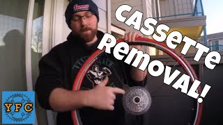 How to Remove a Cassette From Your Wheel!