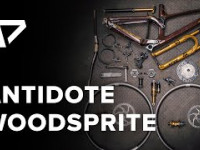DREAM BUILD MTB - Antidote Woodsprite