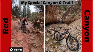 Is Red Canyon my Favorite Trail? | Mountain...