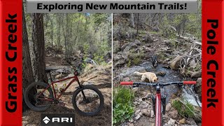 Getting back in the mountains in Pole Creek! |...