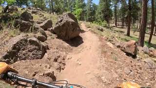Schultz Creek #152 & P33_87f