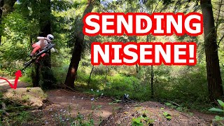 This Place Is Such A Hidden Gem! Nisene Marks...