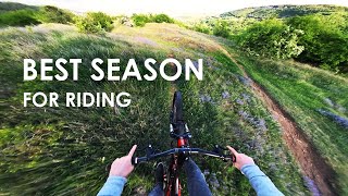 Roader trail