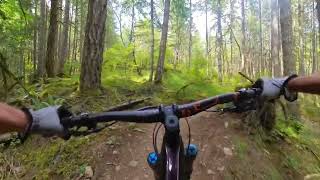 The switchbacks of Middle-Earth