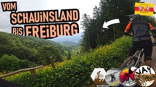 FREIBURG 10km Singletrail: Badish Moon Rising...