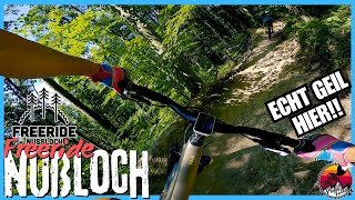 Freeride Nußloch - The G.O.A.T // Santa Cruz...