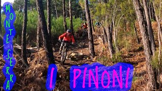 MTB Monte Serra 03.01.2021 sentiero I PINONI