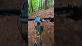 Jura Trails, Neumarkt - Jens Trail.  Very...