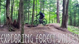 FOREST VALLEY//2024//ORLEANS ONT.//Fun little...