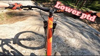 lower ptd