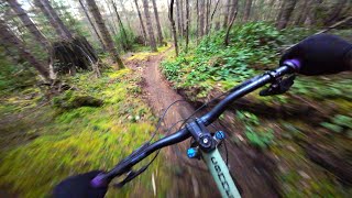 No Nonsense Hardtail Shred