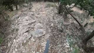 Trail Greta Thunberg - GoPro Hero 10
