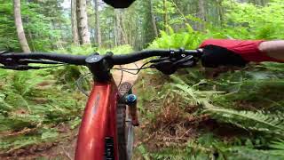 Hornby Enduro 2024
