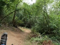 Madrona Loop