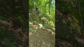 Section de la Rollin Rock