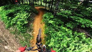 This Pedal Access Bike Park is Underrated