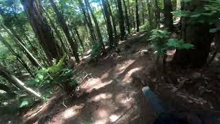 Surf Line Completa - Silveira #mtb #freeride...