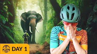 I CAME FACE-TO-FACE WITH AN ELEPHANT (Tanzania...