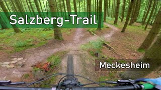 Let's Ride MTB - Meckesheim // Salzberg-Trail