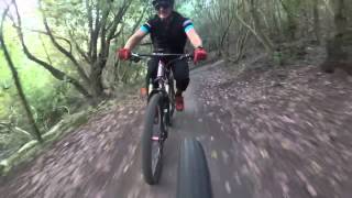 Crockett Flow Trail
