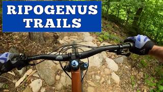 Maine Mountain Biking Adventure: The Ripogenus...