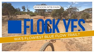Opening weekend smooth flow...?? Flock Yes @...