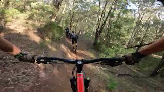 Tight, squeezy full trail train. Frankenpine @...
