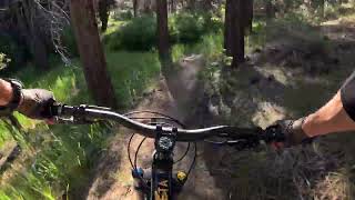 RAW High Meadow UPHIIL - 1300ft climb - South...