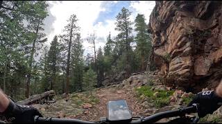 Rusty Buckle - Staunton State Park - Conifer -...