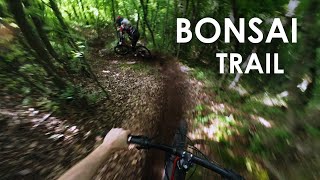 Another NEW TRAIL in Tbilisi