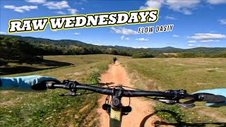 RAW | FLOW DAISY UKI