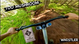 TOO MUSHROOM | Single Black | New Trail in...