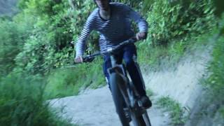 portal session