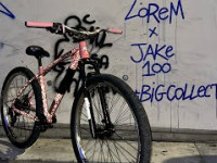 COLLECTIVE BIKES TAKE ON FISE 2024 - Bikelife...