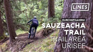 Dr' Sauzeacha Trail - Trailarea Urisee | LINES