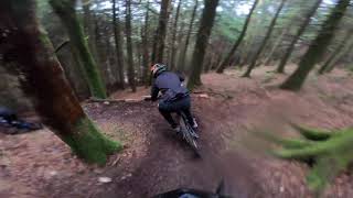 Little Champery MTB Trail Tollymore