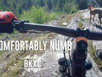 Comfortably Numb, Whistler - Trail Guide