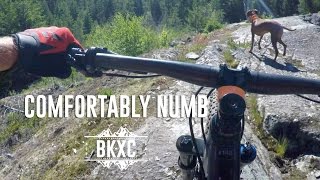 Comfortably Numb, Whistler - Trail Guide