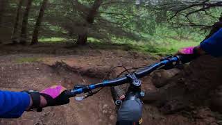 Mild Peril, Glentress