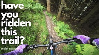 Glentress | New Trails and Great Trails